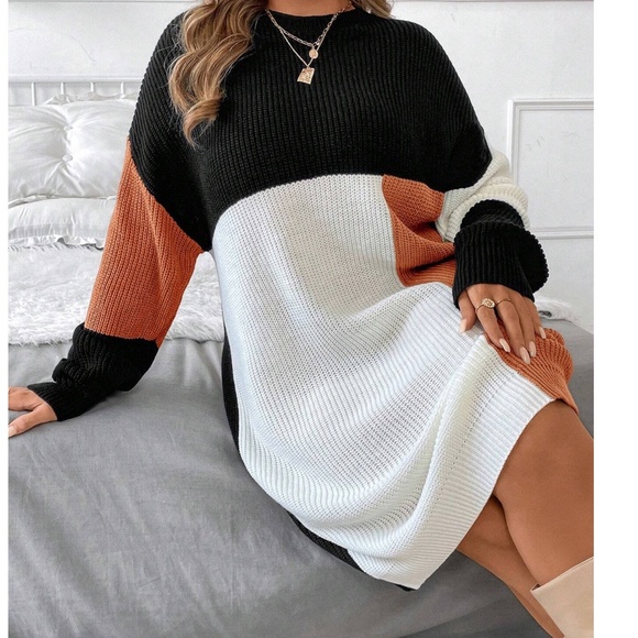 Plus Color Block Knit Long Sleeve Sweater Dress - Picture 3 of 6